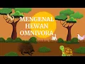 Mengenal Hewan Omnivora Pemakan Segalanya Tumbuhan dan Daging