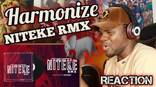 maua sama x harmonize niteke rmx reaction
