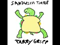 Sandwich Turtle
