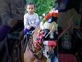 Download Lagu Kuda 🌈 Naik Kuda BKT Cipinang | Lagu Naik Delman Istimewa Populer Indonesia #shorts