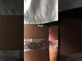 Custom Snake thigh band tattoo