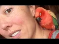 Woman goes to get mail, returns with bird