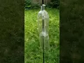 Easy 5 DIY Squirrel Baffle - 100 Effective for Backyard Bird Feeding