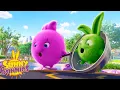 Download Lagu SUNNY BUNNIES - Saving Hopper | Season 2 | Cartoons for Kids