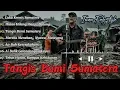 Lagu TANGIS BUMI SUMATERA (IWAN FALS TYLE) | Lagu Kritik Sosial Bencana Banjir \u0026 Korupsi