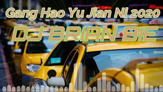 Download 剛好遇見你 Gang Hao Yu Jian Ni Remix By Dj Brian Bie MP3