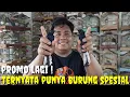 Download Lagu MINTA DI REVIEW TERNYATA PUNYA YG SPESIAL \u0026 DI MAHAR SANGKAR JATI FULL UKIR SEKEN