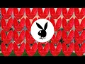 Playboy