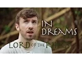 Download Lagu Lord of the Rings - In Dreams - Peter Hollens (By Real Human Elf)