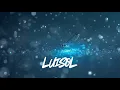Dianna Ross- Upside Down (Never Dull edit)