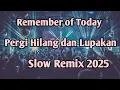 Download Lagu DJ Pergi Hilang dan Lupakan Slow Remix