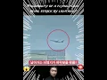 날아가는 비행기가 벼락맞을 확률?🚨 Probability of a flying plane being struck by lightning⚡?😱 #shorts #마른하늘 #날벼락