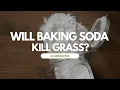 Will Baking Soda Kill Grass