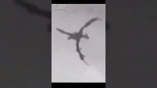 ظهور تنين حقيقي Shorts 