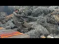 Incredible Factory Recycling Process Without any Safety Equipment all asian production