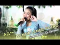 Download Lagu SENTIR LENGO POTRO - SINDEN LILIS  - REVANSA MUSIK INDONESIA