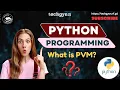 What is Python Virtual Machine PVM Ultimate Guide to Python Code Execution