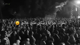 قولوله سماح تفاعل الجمهور مع تامر عاشور ولا اروع 