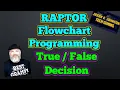 Raptor - True False Statement Raptor Flowchart-based Programming s Series