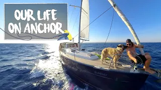 Back to Life on Anchor | Sailing Sunday Ep. 119