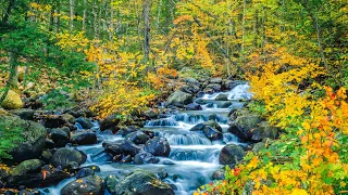 "Finding September" Beautiful Relaxing Music, Peaceful Instrumental Music by Tim Janis