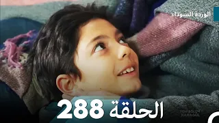 الوردة السوداء الحلقة 288 