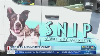 Free spay and neuter clinic held in Oildale