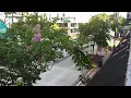 1WebsiteNow LIVE Downtown DeLand South Woodland Blvd 2026-08-15 6 PM ET