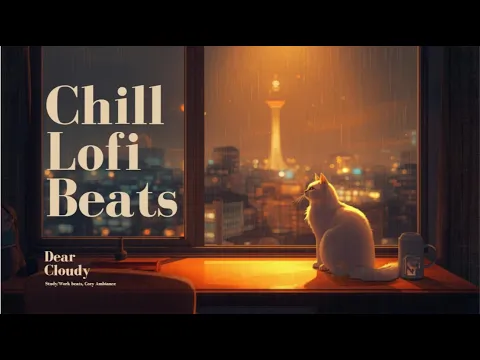 Rainy Night in Seoul ☁️ 1 Hour Lofi Hip Hop Mix | Cozy White Cat & N Seoul Tower View for Study