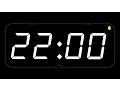 22 MINUTE - TIMER ALARM
