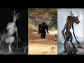 The Cryptid Men Cometh
