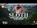 Download Lagu Makhluk Paling Lambat di Dunia Ada di Amazon – Ternyata Bisa Menyelam 40 Menit!