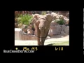 Introduction to the Nikon D5300 Basic Controls