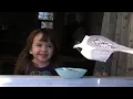 Elizabeth Mitchell - "Little Bird, Little Bird" [Official Music Video]