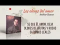 Los olores del amor - Willie Colón & Amilcar Boscan