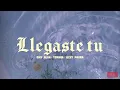 Llegaste Tu (Letra) Omy Alka ft. Townix • Lizzy Parra