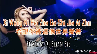xi wang ni bei zhe ge shi jie ai zhu electro manyao by dj brian bie dj 2024