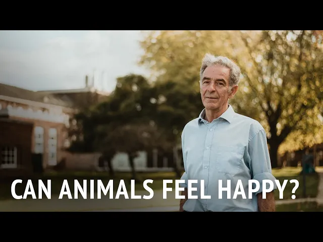 Can Animals Feel Happy? | Dr Murray Corke