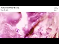 Futuristic Polar Bears - You & Me (Preview) // May 31