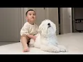 Download Lagu [VLOG] 말은 안 통해도 마음은 통해🐶👶🏻