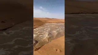 Saudi Arabia River In Desert 