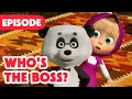Lagu Masha and the Bear 🎉 NEW EPISODE 2025 🙊 Who's the Boss? 🐼😤 (Episode 91)