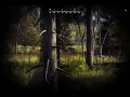 way of the hunter - lintukoto reserve first LYNX PC 2024