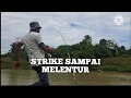 Download Lagu STRIKE ROHU SUNGAI KINTA