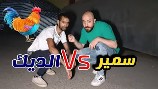 الديك الرومي علم عليه 