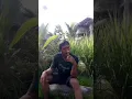 Lagu sawah dan cangkul