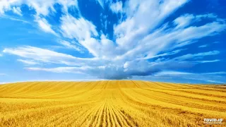 Sofiya Hudzyk Батькам Люба матуся і любий татусь 