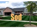 New Sod Fertilizing And Treatment Schedule New Sod Care