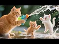 Download Lagu Mom Cat \u0026 Kittens Rescue White Kitten from Sewer 🐾 Takes It Home | Heartwarming Tales Collection#cat