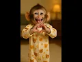 This little monkey just stole my heart! ❤️❤️❤️🙈